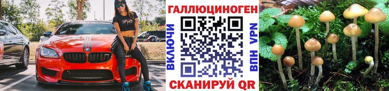 Галлюциногенные грибы Cubensis  дарнет шоп  Минеральные Воды 