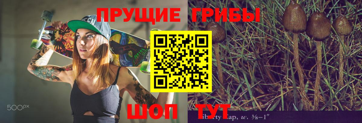 Псилоцибиновые грибы мухоморы Минеральные Воды