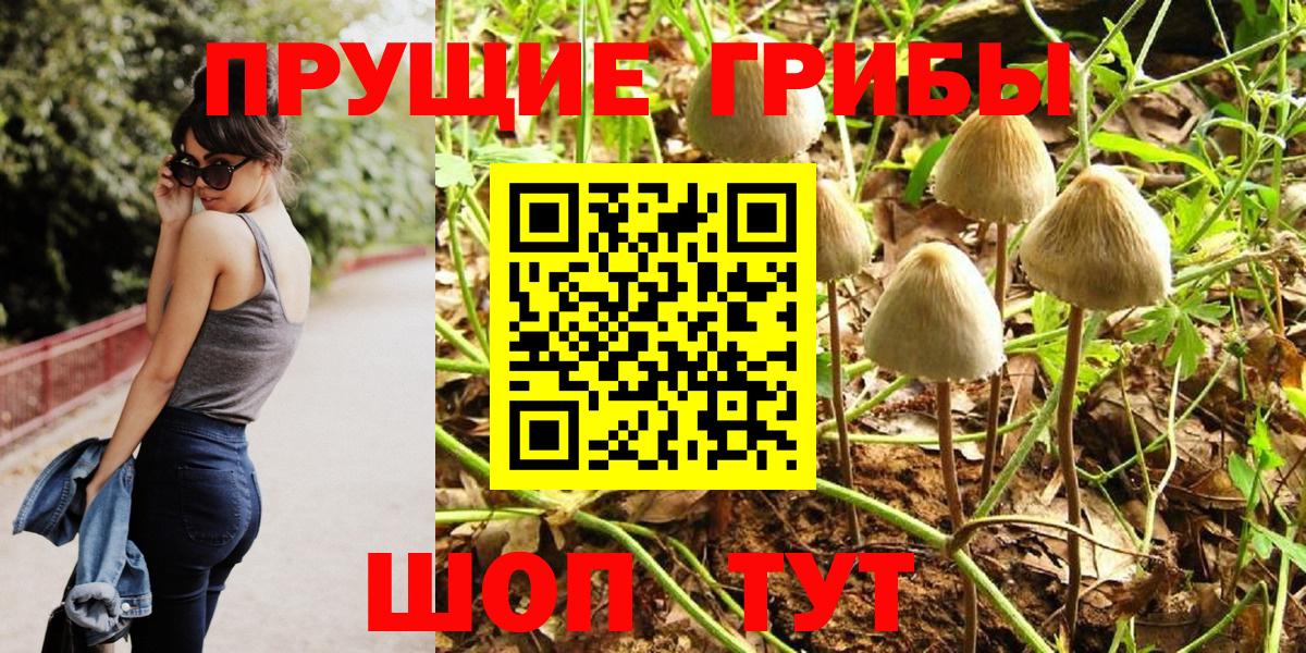 Галлюциногенные грибы прущие грибы  Вход с VPN  Псилоцибиновые грибы ЛСД  купить наркотики сайты  Минеральные Воды 